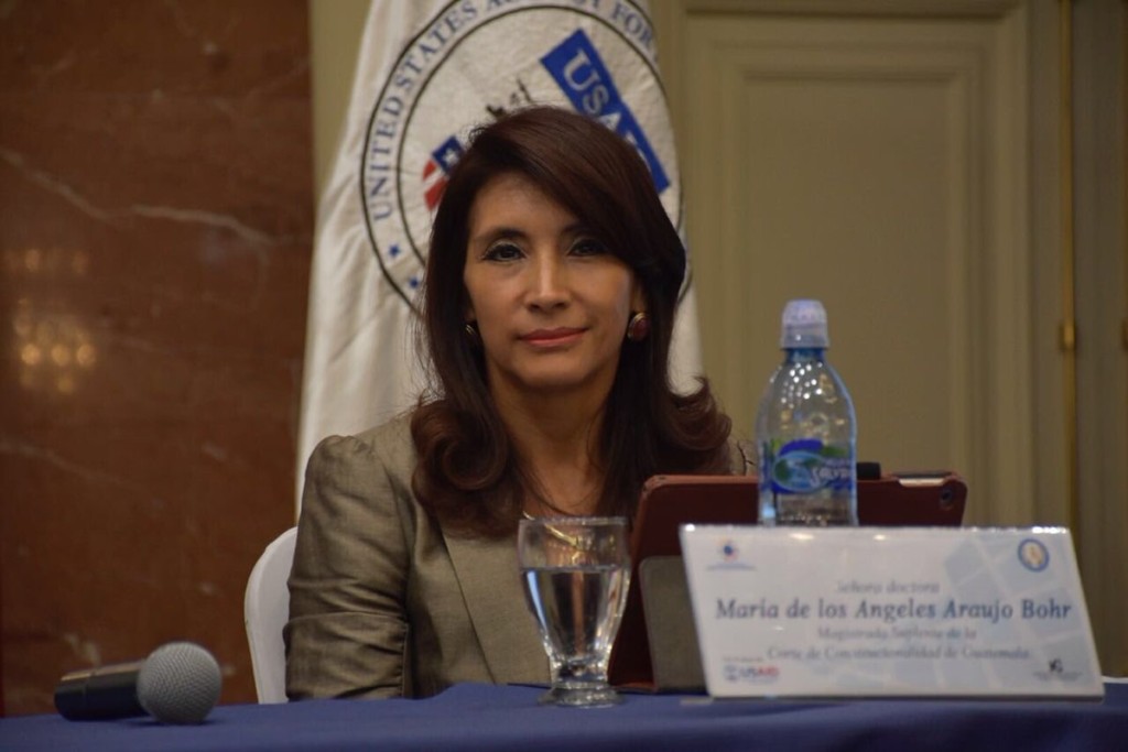María de los Ángeles Araujo, Magistrada suplente de la CC