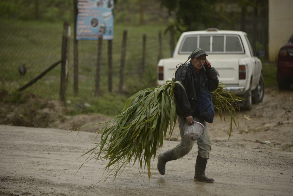 La agricultura es una de las actividades principales del lugar: maíz y frijo son las cosechas particulares de la aldea. Foto: Fabricio Alonzo.